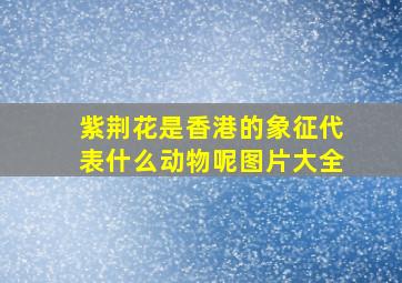 紫荆花是香港的象征代表什么动物呢图片大全