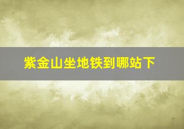 紫金山坐地铁到哪站下