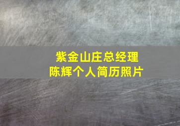 紫金山庄总经理陈辉个人简历照片