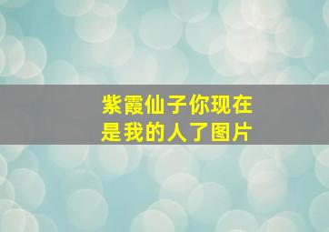 紫霞仙子你现在是我的人了图片