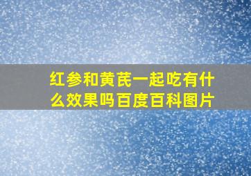 红参和黄芪一起吃有什么效果吗百度百科图片