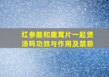 红参能和鹿茸片一起煲汤吗功效与作用及禁忌