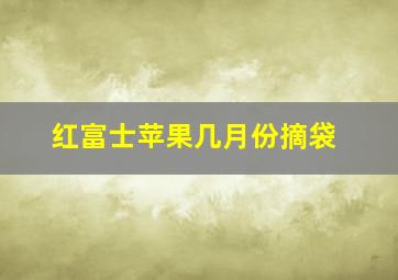 红富士苹果几月份摘袋