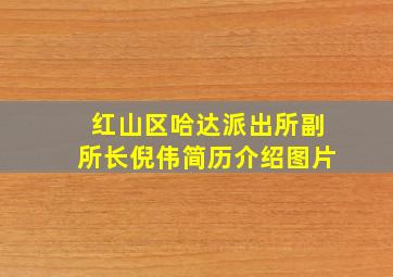 红山区哈达派出所副所长倪伟简历介绍图片