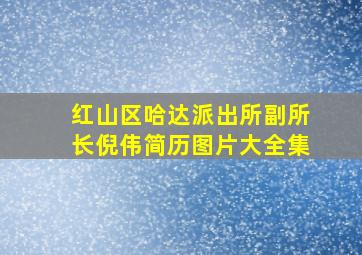 红山区哈达派出所副所长倪伟简历图片大全集