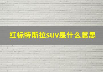 红标特斯拉suv是什么意思