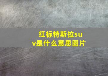 红标特斯拉suv是什么意思图片