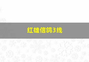 红雄信鸽3线