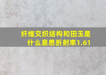 纤维交织结构和田玉是什么意思折射率1.61