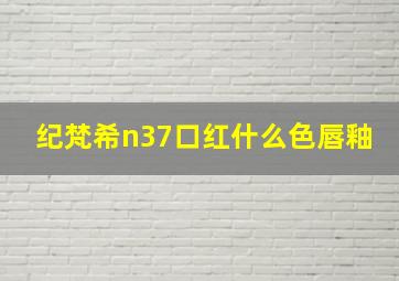 纪梵希n37口红什么色唇釉