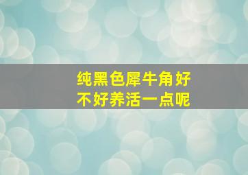 纯黑色犀牛角好不好养活一点呢