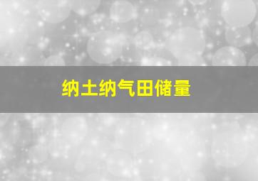 纳土纳气田储量