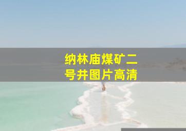 纳林庙煤矿二号井图片高清