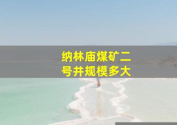 纳林庙煤矿二号井规模多大