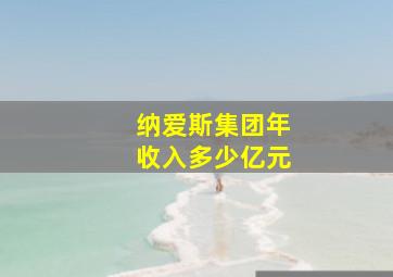 纳爱斯集团年收入多少亿元