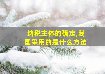 纳税主体的确定,我国采用的是什么方法