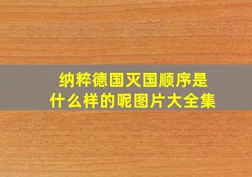 纳粹德国灭国顺序是什么样的呢图片大全集