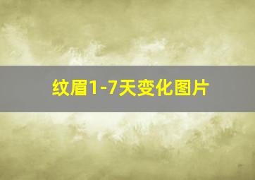 纹眉1-7天变化图片