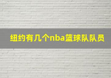 纽约有几个nba篮球队队员