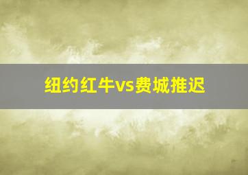 纽约红牛vs费城推迟