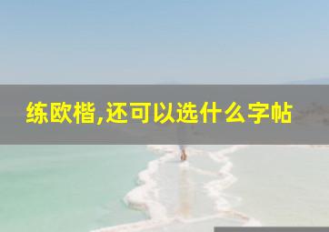 练欧楷,还可以选什么字帖