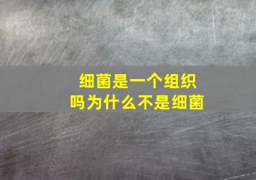 细菌是一个组织吗为什么不是细菌