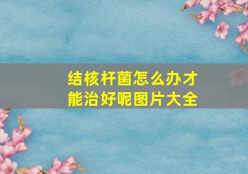 结核杆菌怎么办才能治好呢图片大全