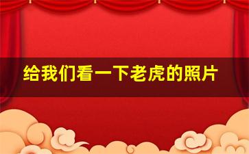 给我们看一下老虎的照片