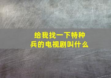 给我找一下特种兵的电视剧叫什么