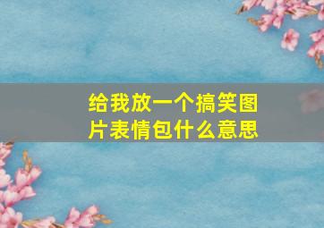 给我放一个搞笑图片表情包什么意思