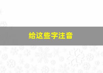 给这些字注音