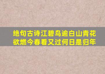 绝句古诗江碧鸟逾白山青花欲燃今春看又过何日是归年