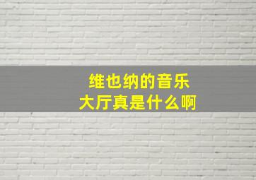 维也纳的音乐大厅真是什么啊