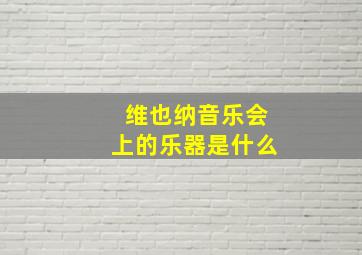 维也纳音乐会上的乐器是什么