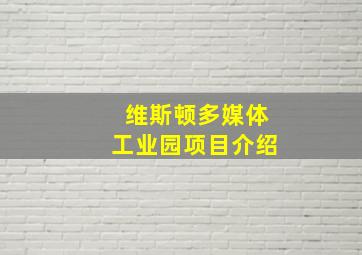 维斯顿多媒体工业园项目介绍