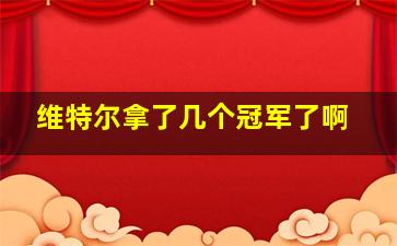 维特尔拿了几个冠军了啊