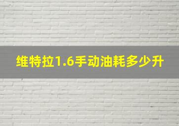 维特拉1.6手动油耗多少升