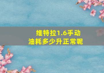 维特拉1.6手动油耗多少升正常呢