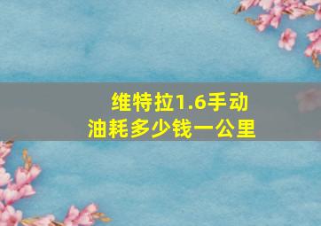 维特拉1.6手动油耗多少钱一公里