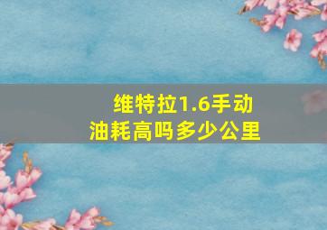 维特拉1.6手动油耗高吗多少公里