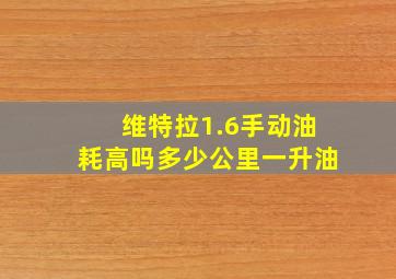 维特拉1.6手动油耗高吗多少公里一升油