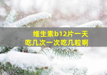 维生素b12片一天吃几次一次吃几粒啊