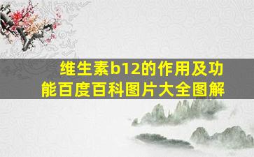 维生素b12的作用及功能百度百科图片大全图解