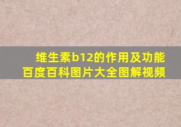 维生素b12的作用及功能百度百科图片大全图解视频