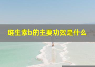 维生素b的主要功效是什么