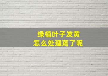 绿植叶子发黄怎么处理蔫了呢