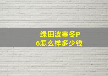 绿田波塞冬P6怎么样多少钱