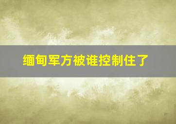 缅甸军方被谁控制住了