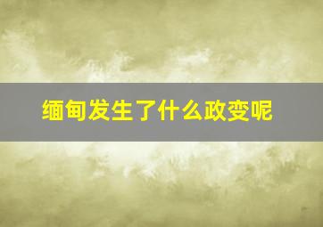 缅甸发生了什么政变呢