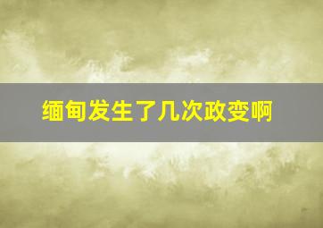 缅甸发生了几次政变啊